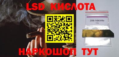 mdpv Гусев