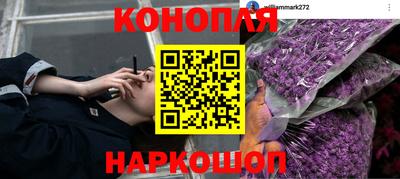 mdpv Гусев