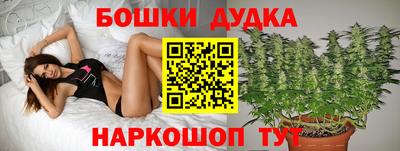 apvp Гусиноозёрск