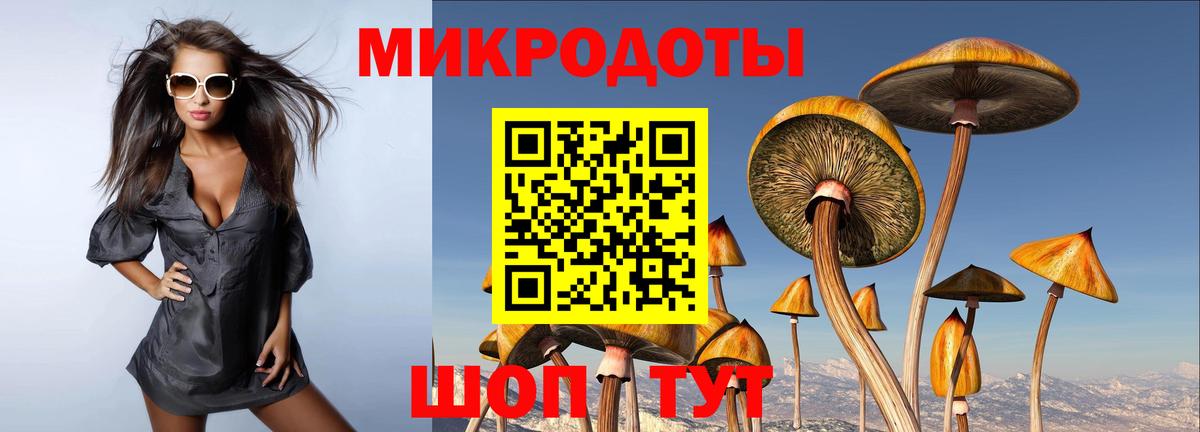 Псилоцибиновые грибы Psilocybe  Вход с VPN  Новочебоксарск 